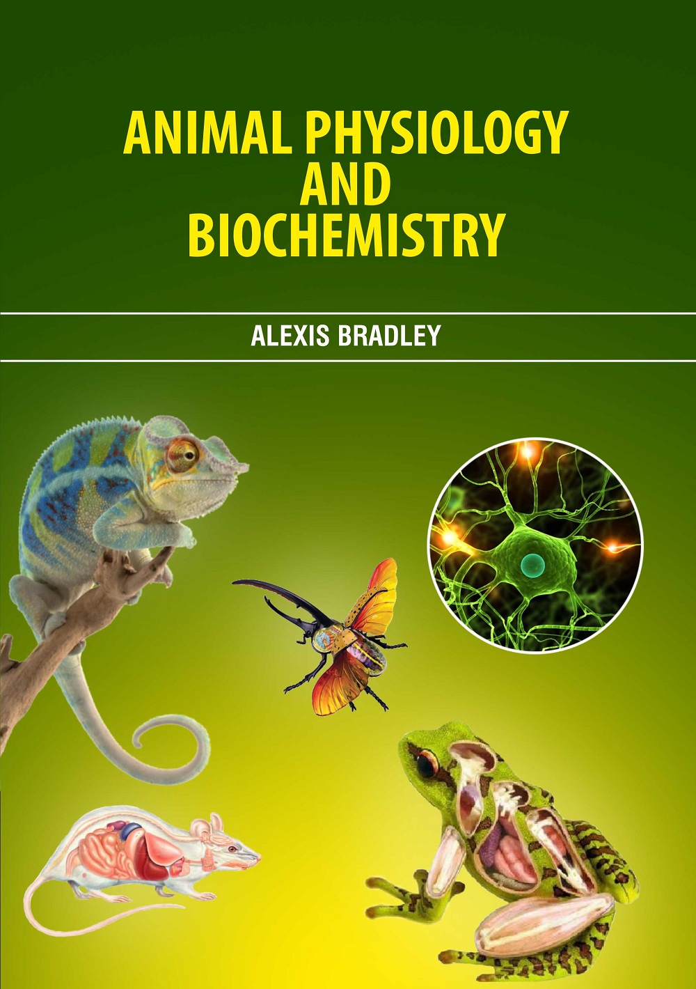 catalog/books/Animal Physiology and Biochemistry.jpg